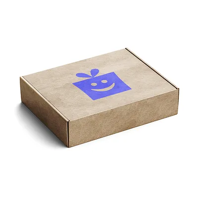 Kraft mailer box with printing on lid